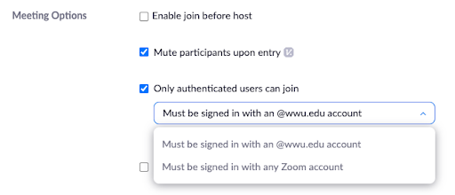 Zoom - Only authenticated users
