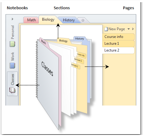 OneNote notebooks are organized by sections and pages