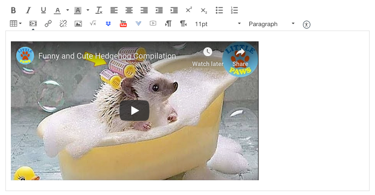 The video of the hedgehog is inserted into the text box.