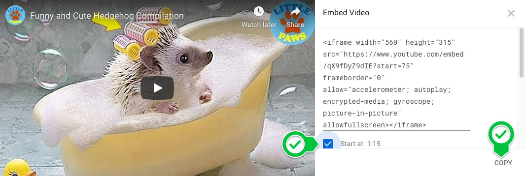 A video of a cute hedgehog, with the options to embed the video open.